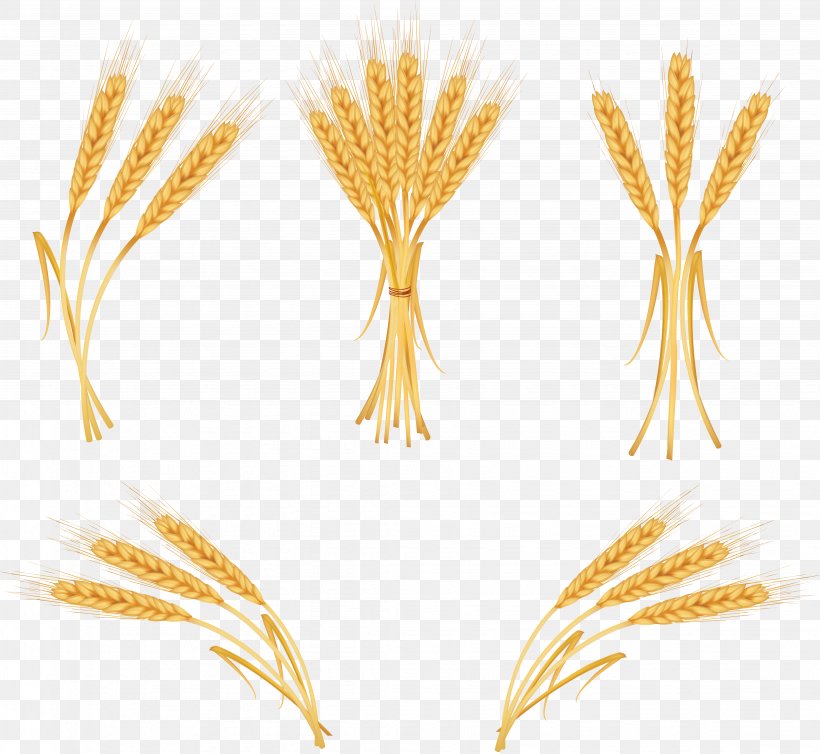 Wheat Euclidean Vector Royalty-free Clip Art, PNG, 4112x3783px, Common Wheat, Agriculture, Cereal, Cereal Germ, Commodity Download Free