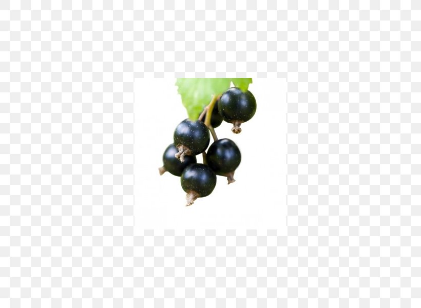 Bilberry Flavor Fruit Juice Liquid, PNG, 600x600px, Bilberry, Alfaliquid, Berry, Blackcurrant, Blueberry Download Free
