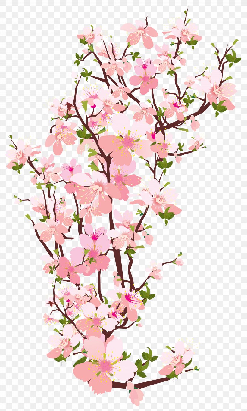 Blossom Flower Branch Clip Art, PNG, 4338x7223px, Blossom, Branch, Cherry Blossom, Cut Flowers, Drawing Download Free