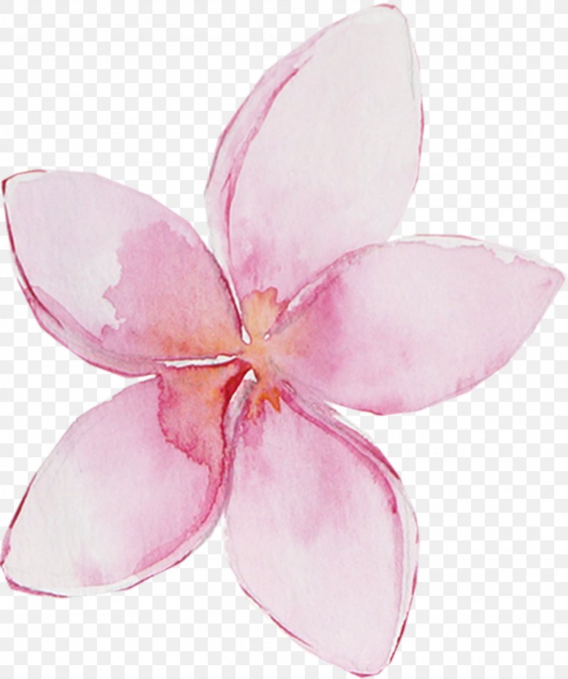 Desktop Wallpaper Pink Clip Art, PNG, 1564x1870px, Pink, Art, Cartoon, Color, Cut Flowers Download Free
