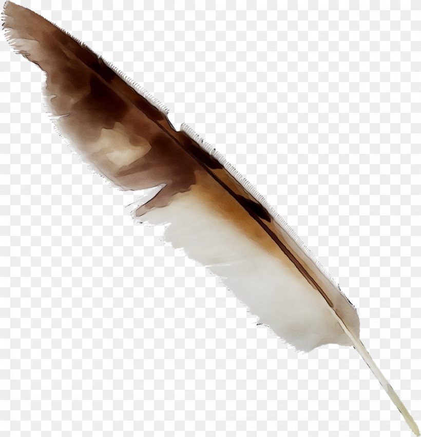 Feather, PNG, 1013x1053px, Feather, Pen, Quill, Wing, Writing Implement Download Free