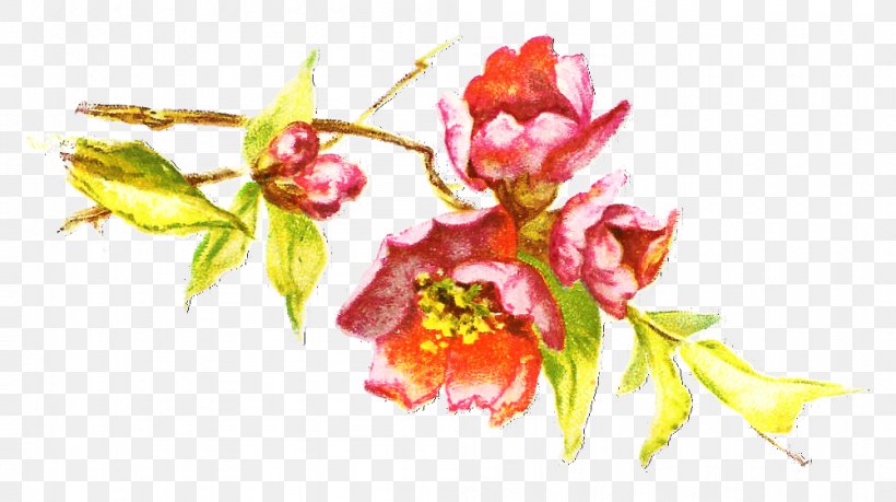 Floral Spring Flowers, PNG, 1001x561px, Floral Design, Blossom, Branch, Cherries, Cherry Blossom Download Free