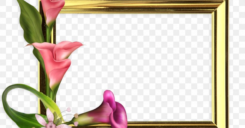 Paper Greeting Picture Frames, PNG, 1200x630px, 2018, Paper, Cut Flowers, December, Flora Download Free