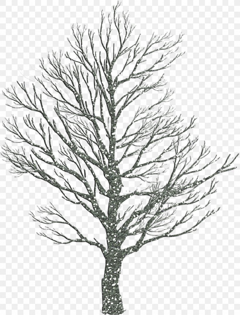 Tree Trunk Clip Art, PNG, 973x1280px, Tree, Black And White, Branch, Conifer, Fir Download Free