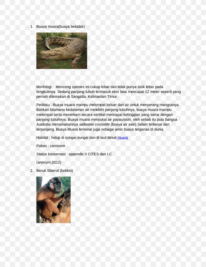 Animal Brochure Font, PNG, 1700x2200px, Animal, Brochure, Fauna, Grass, Media Download Free
