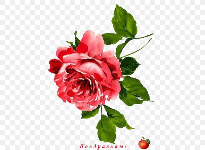 Garden Roses Flower Floral Design, PNG, 456x600px, Garden Roses, Annual Plant, Artificial Flower, Cabbage Rose, China Rose Download Free