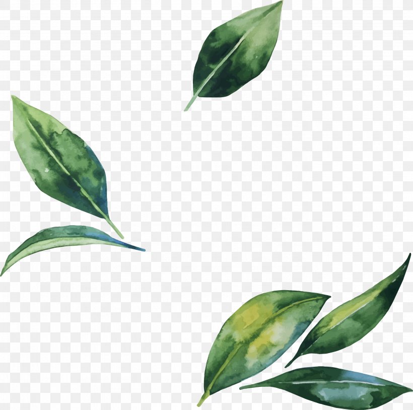 Leaf Flower Illustration, PNG, 2757x2737px, Leaf, Branch, Flower, Green, Painting Download Free