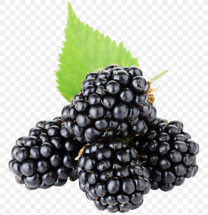 Blackberry Pie Fruit Berries Raspberry, PNG, 768x845px, Blackberry Pie, Accessory Fruit, Berries, Berry, Bilberry Download Free