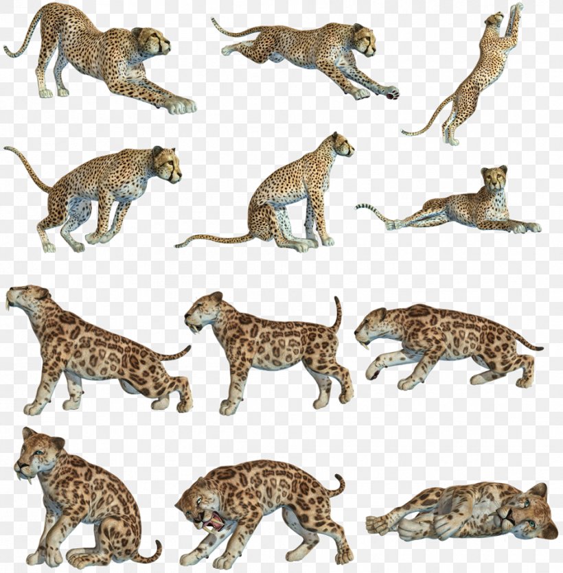 Leopard Cheetah Cat Tiger Felidae, PNG, 939x957px, Leopard, Animal, Animal Figure, Big Cat, Big Cats Download Free
