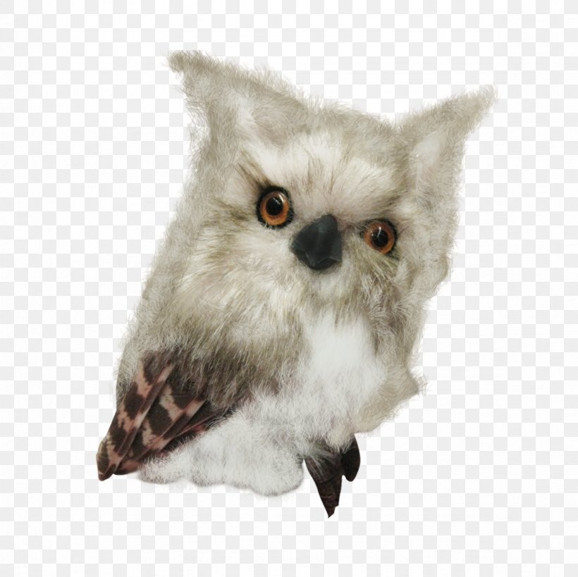 Little Owl Sovunya Bird Clip Art, PNG, 2362x2362px, Owl, Beak, Bird, Bird Of Prey, Blog Download Free