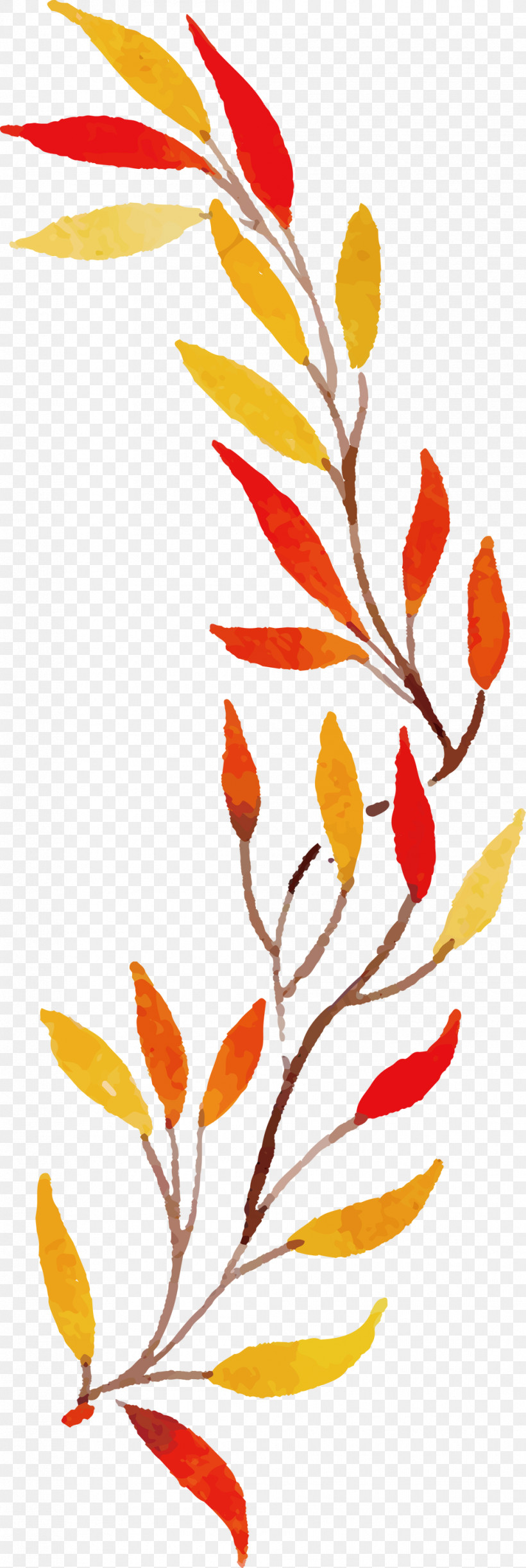 Autumn Leaf Colorful Leaf, PNG, 1007x2999px, Autumn Leaf, Colorful Leaf, Flora, Floral Design, Leaf Download Free