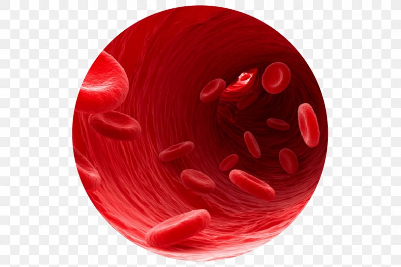 Blood Type Blood Cell Heart Heme, PNG, 833x554px, Blood, Blood Cell, Blood Donation, Blood Pressure, Blood Product Download Free