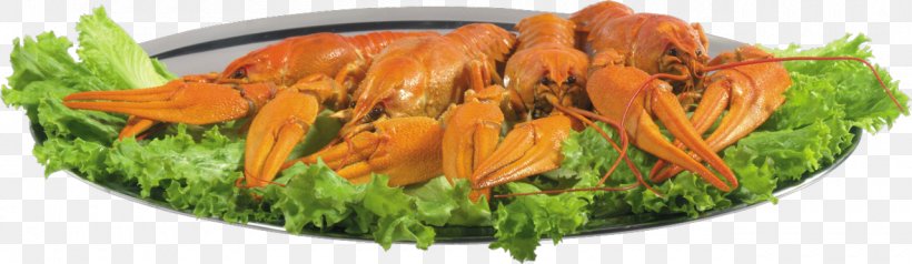 Crayfish As Food Crab Beer Lobster Vegetarian Cuisine, PNG, 1280x373px, Crayfish As Food, Beer, Carrot, Crab, Dish Download Free