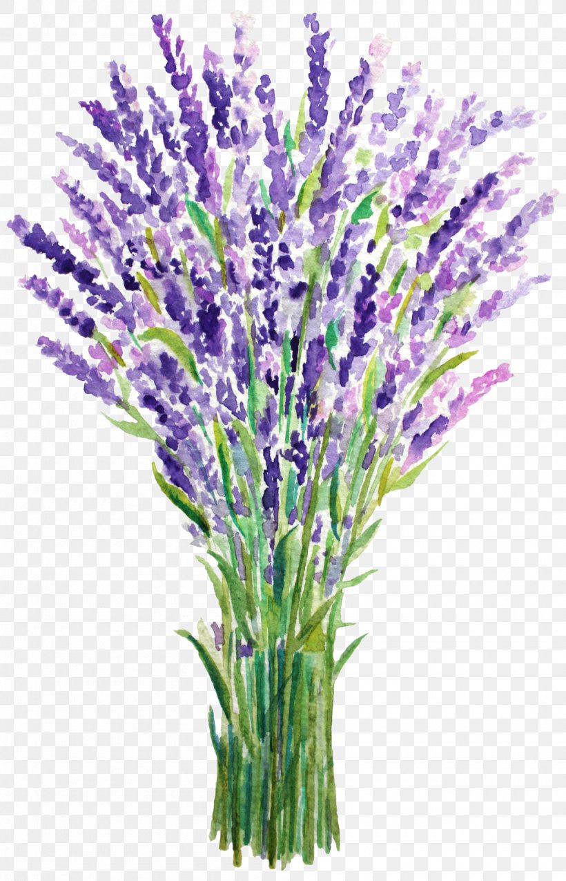 English Lavender French Lavender Watercolor Painting, PNG, 1000x1555px, English Lavender, Canvas, Canvas Print, Cut Flowers, Drawing Download Free