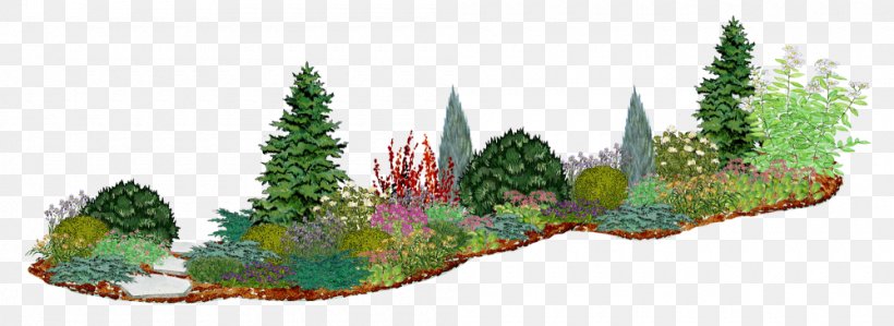 Family Tree Background, PNG, 1000x365px, Flower Garden, Arborvitae, Biome, Colorado Spruce, Conifer Download Free