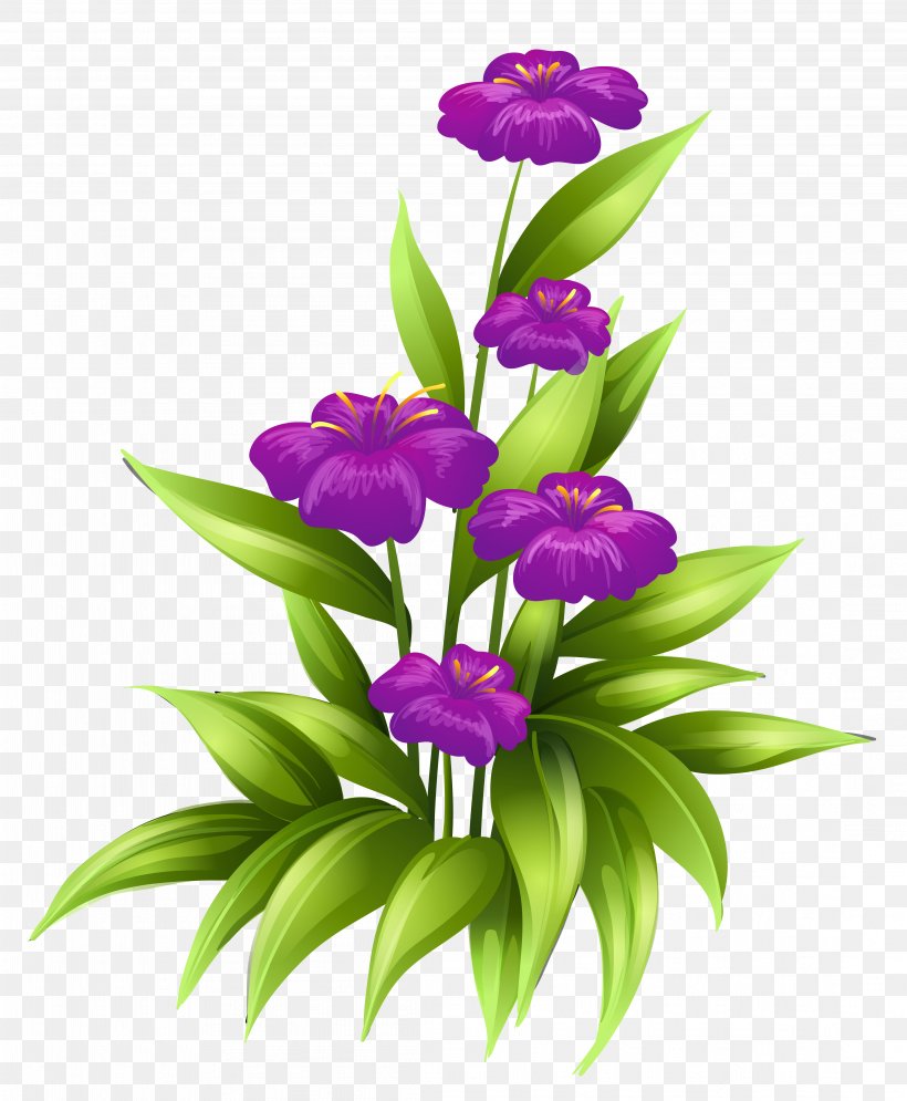 Flower Purple Stock Illustration Clip Art, PNG, 4413x5360px, Flower, Cattleya, Color, Cut Flowers, Dendrobium Download Free