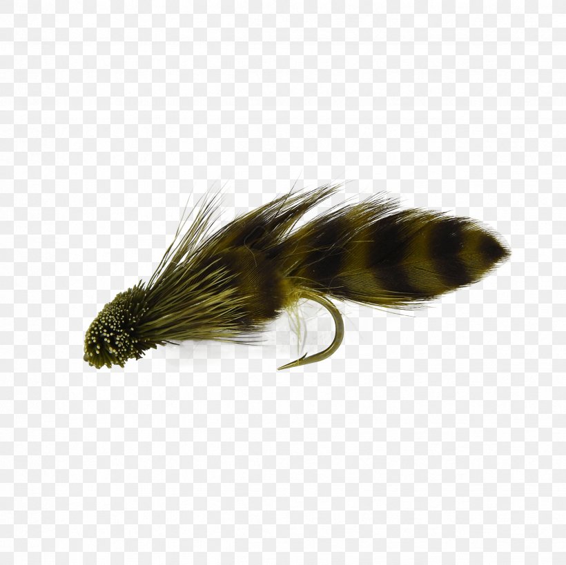 Fly Fishing Artificial Fly Sculpins, PNG, 2448x2448px, Fly Fishing, Artificial Fly, Bluefish, Fishing, Fly Download Free