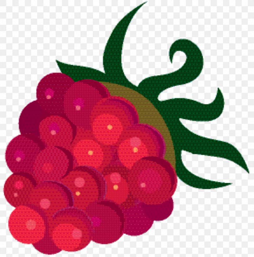 Grape Cartoon, PNG, 1080x1094px, Grape, Accessory Fruit, Barry M, Berry, Food Download Free