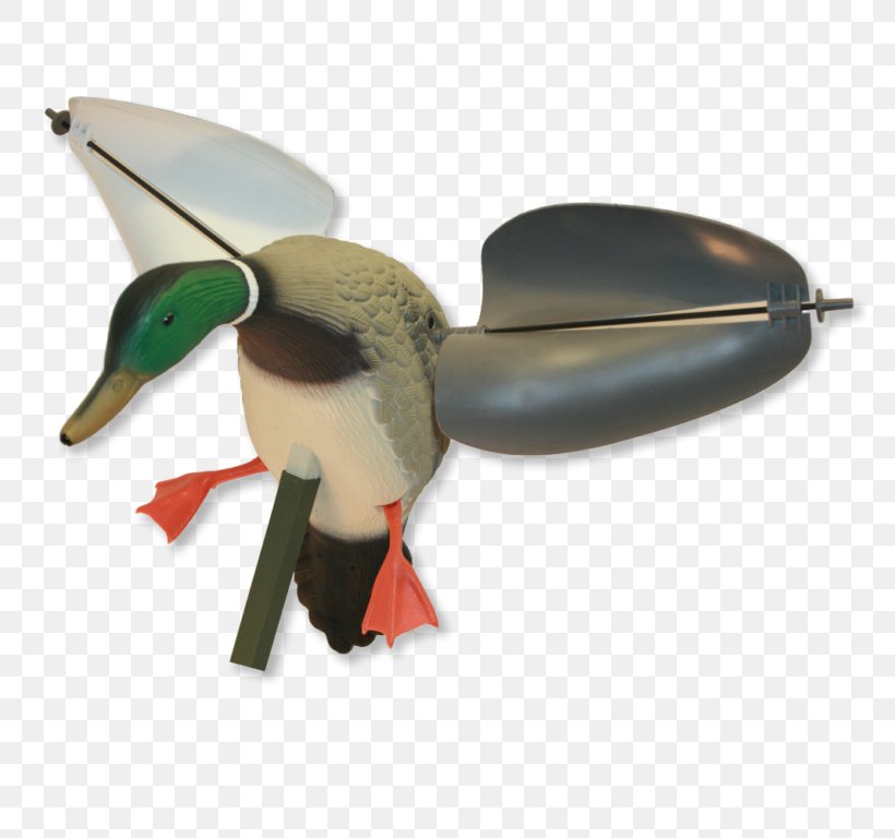 Mallard Duck Dangate Goose Hunting, PNG, 768x768px, Mallard, Anatidae, Anser, Beak, Bird Download Free