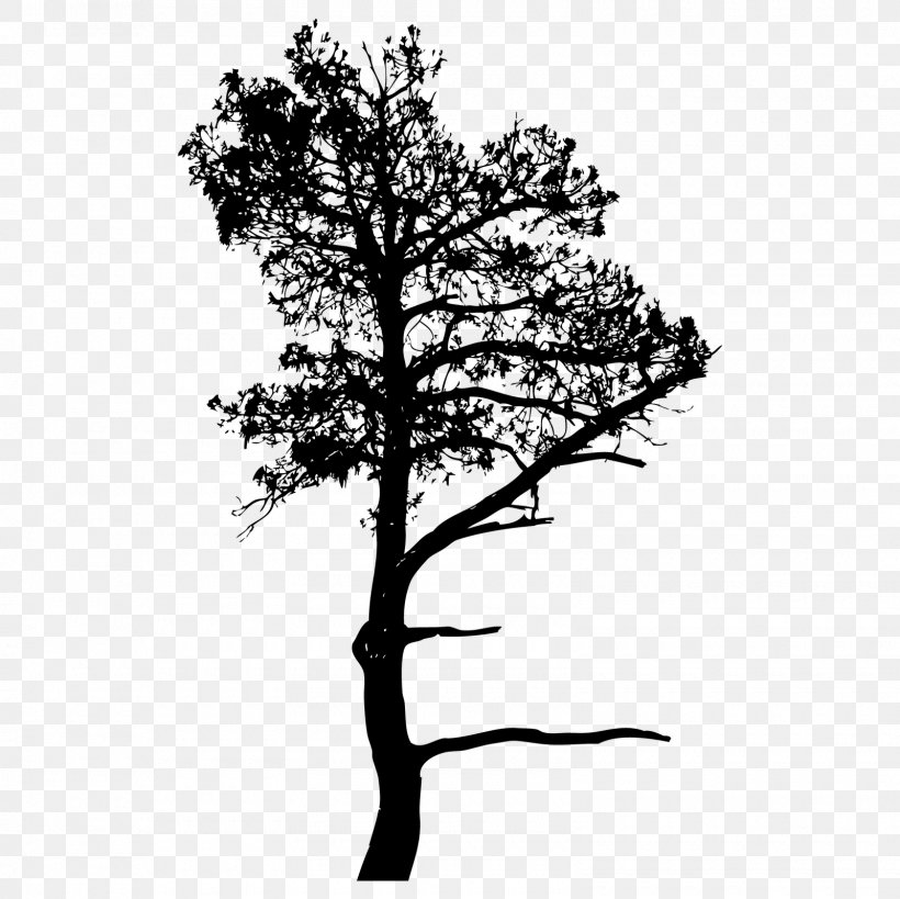 A3B Assessoria Ambiental Silhouette Drawing Art, PNG, 1600x1600px, Silhouette, Art, Black And White, Branch, Drawing Download Free