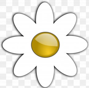 Picture Of Daisies - Common Daisy Coloring Book Flower Black And White Clip Art PNG