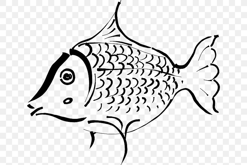 Goldfish Drawing Clip Art, PNG, 640x547px, Fish, Aquatic Animal, Area, Artwork, Beak Download Free