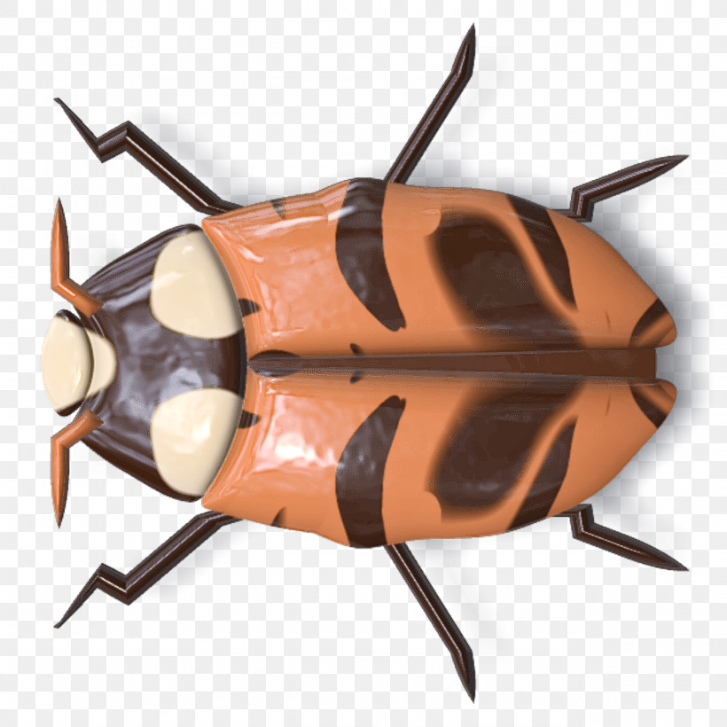 Insect Cockroach, PNG, 1280x1280px, Insect, Cockroach Download Free