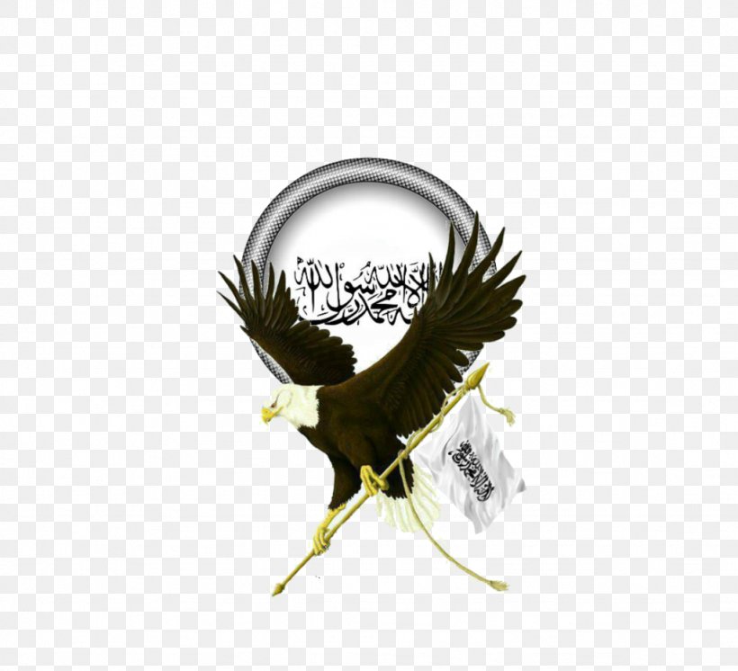 Jihad Islamic Terrorism Allah Muslim, PNG, 1024x932px, Jihad, Allah, Beak, Bird, Eagle Download Free