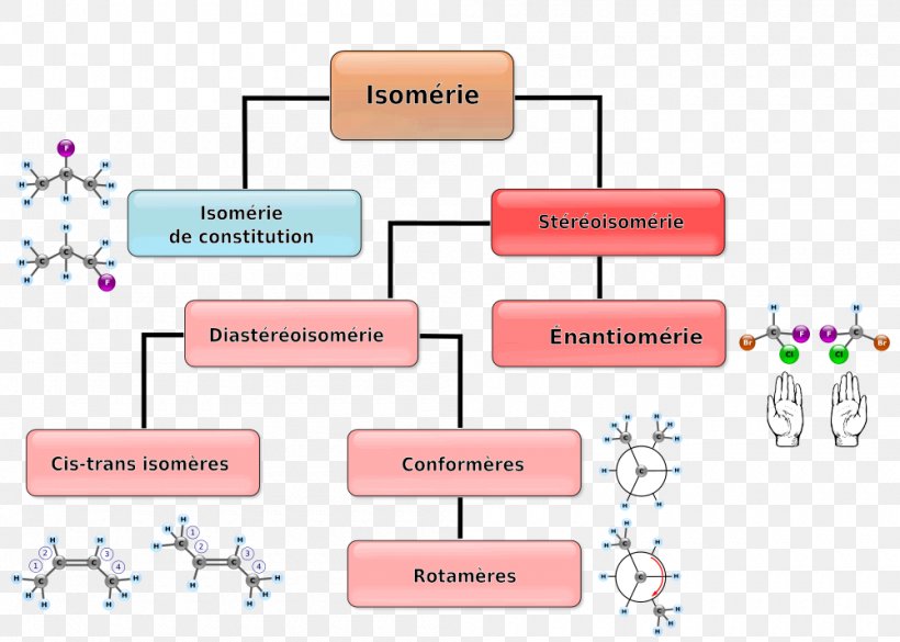 Cis–trans Isomerism Chemistry Stereoisomerism Diastereomer, PNG, 1000x714px, Isomer, Area, Chemistry, Chirality, Communication Download Free