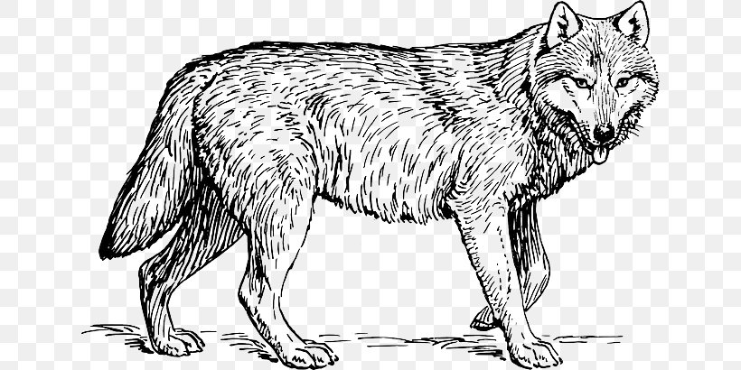 Coloring Book Puppy Dog Drawing Adult, PNG, 640x410px, Coloring Book, Adult, Arctic Wolf, Artwork, Big Bad Wolf Download Free