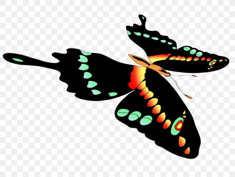 Insect Line Clip Art, PNG, 866x654px, Insect, Artwork, Butterfly, Invertebrate, Membrane Winged Insect Download Free