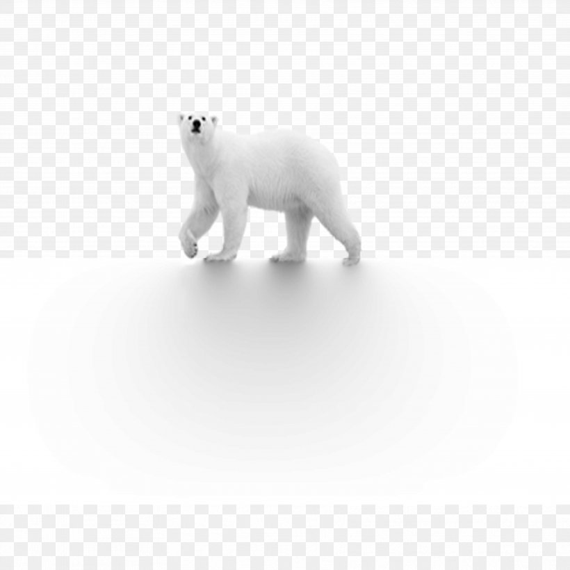 Polar Bear Dog Black And White, PNG, 3543x3543px, Watercolor, Cartoon, Flower, Frame, Heart Download Free