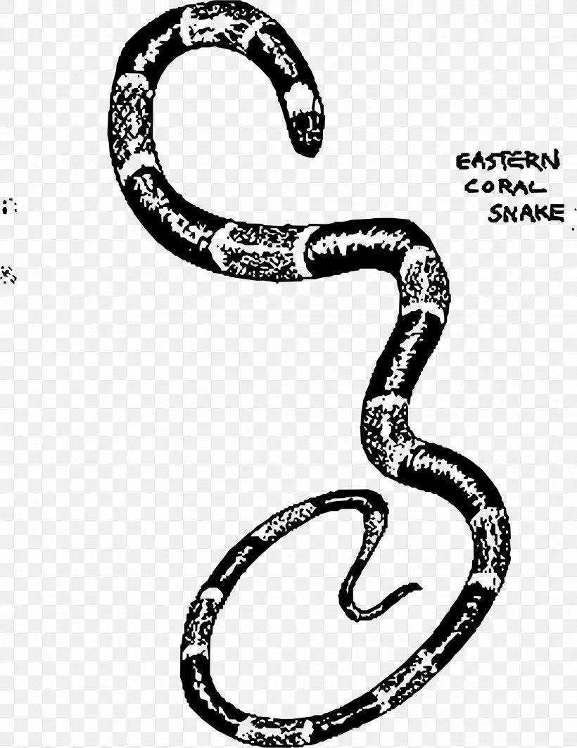 Snake Vipers Drawing Clip Art, PNG, 1745x2263px, Snake, Black And White, Boa Constrictor, Boas, Body Jewelry Download Free