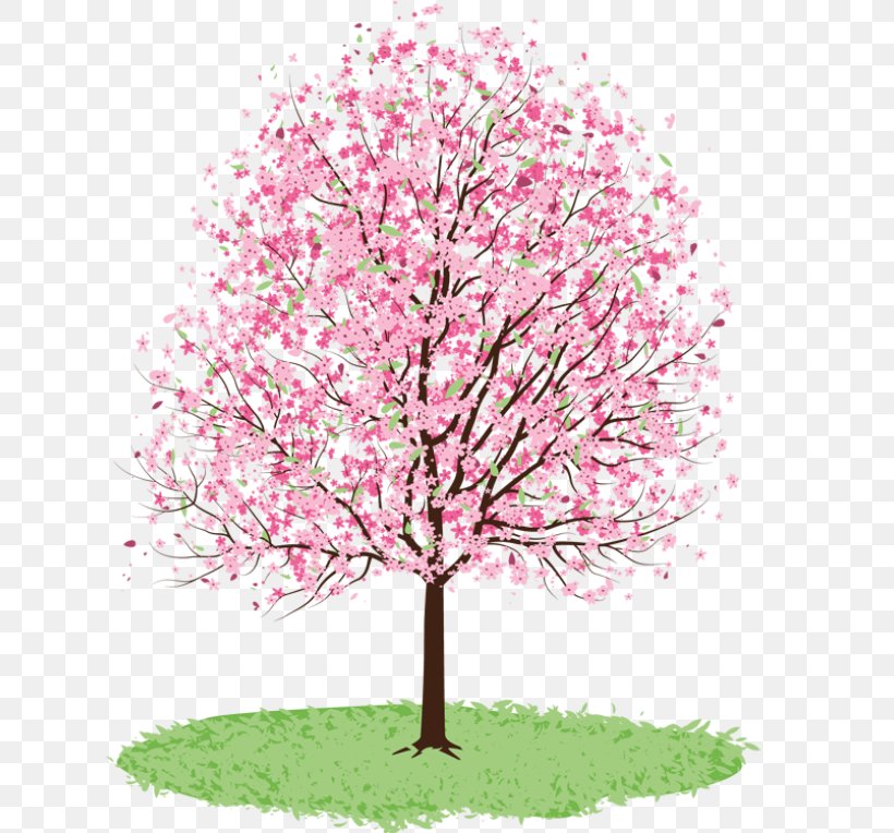 Tree Cherry Blossom Spring Clip Art, PNG, 640x764px, Tree, Apple, Blossom, Branch, Cherry Download Free