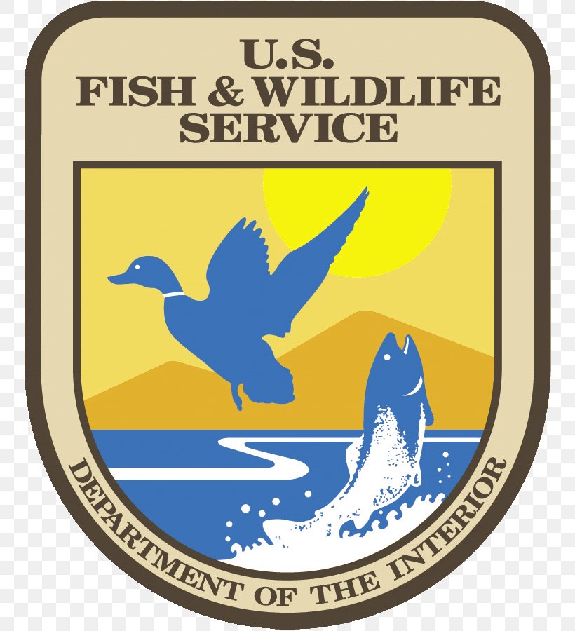 United States Fish And Wildlife Service Logo United States Of America Endangered Species Act Of 1973 North American Wetlands Conservation Act, PNG, 754x900px, Logo, Beak, Bird, Brand, Conservation Download Free