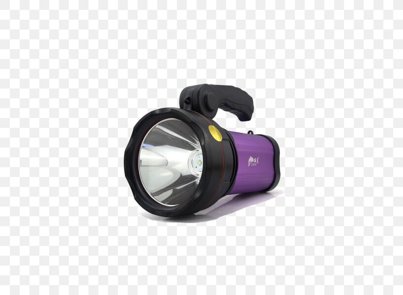 Flashlight Lighting Incandescent Light Bulb, PNG, 600x600px, Light, Blacklight, Designer, Electric Light, Energy Conversion Efficiency Download Free