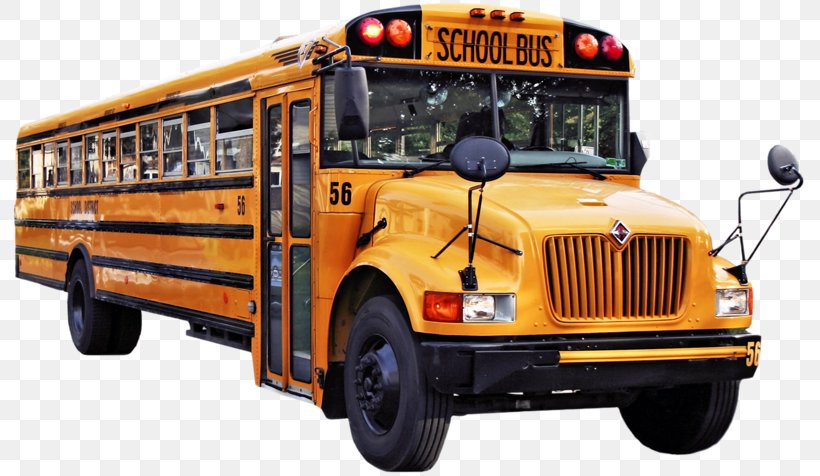 School Bus Traffic Stop Laws Ouachita Parish School Board, PNG, 800x476px, Bus, Automotive Exterior, Bus Driver, Commercial Vehicle, Driving Download Free