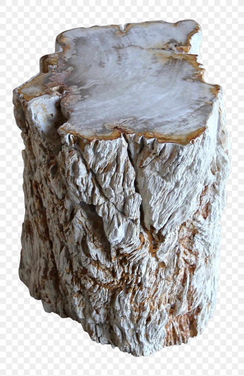 Tree Stump, PNG, 1319x2030px, 1stdibscom Inc, 20th Century, Table, Beige, End Tables Download Free