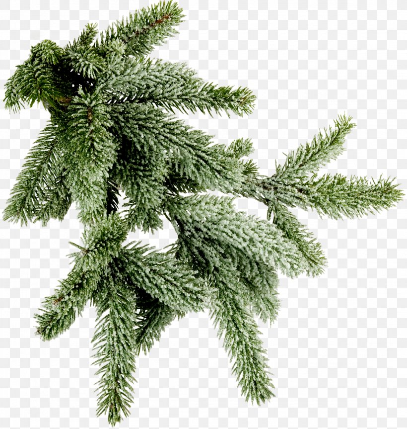 Clip Art Stock Photography Image Christmas Day Tree, PNG, 2310x2432px, Stock Photography, Branch, Christmas Day, Christmas Decoration, Christmas Ornament Download Free