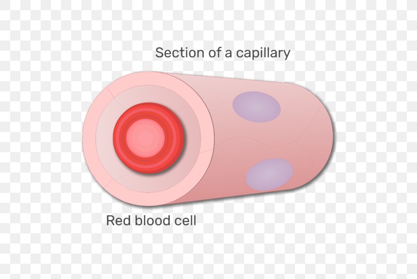Red Blood Cell, PNG, 666x550px, Red Blood Cell, Animated Film, Blood, Blood Cell, Capillary Download Free