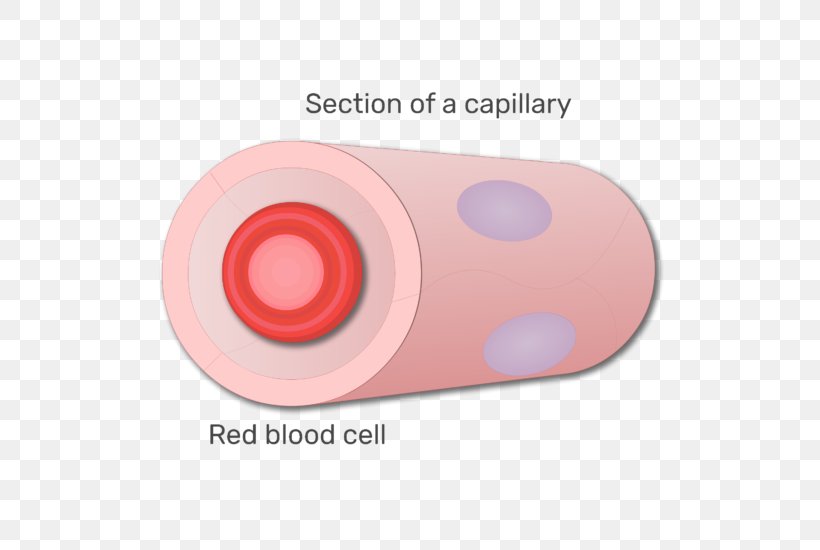 Cell animation