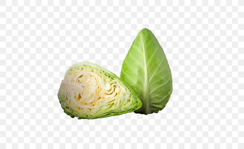 Romaine Lettuce Capitata Group Pointed White Cabbage Salad Cruciferous Vegetables, PNG, 500x500px, Romaine Lettuce, Cabbage, Capitata Group, Color, Cruciferous Vegetables Download Free
