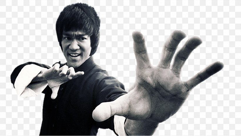 Tao Of Jeet Kune Do Martial Arts Film, PNG, 1920x1080px, Tao Of Jeet Kune Do, Action Film, Aggression, Arm, Birth Of The Dragon Download Free