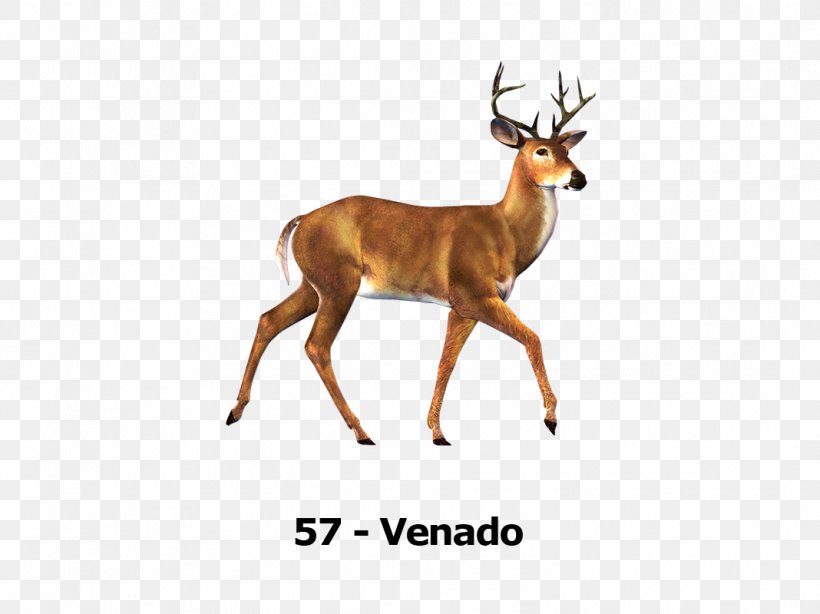Deer Desktop Wallpaper Don't Starve Together, PNG, 1068x800px, Deer, Animal, Animal Figure, Antelope, Antler Download Free