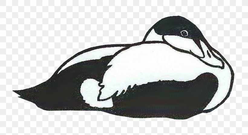 Duck Penguin Drawing /m/02csf Fauna, PNG, 869x473px, Duck, Artwork, Beak, Bird, Black And White Download Free