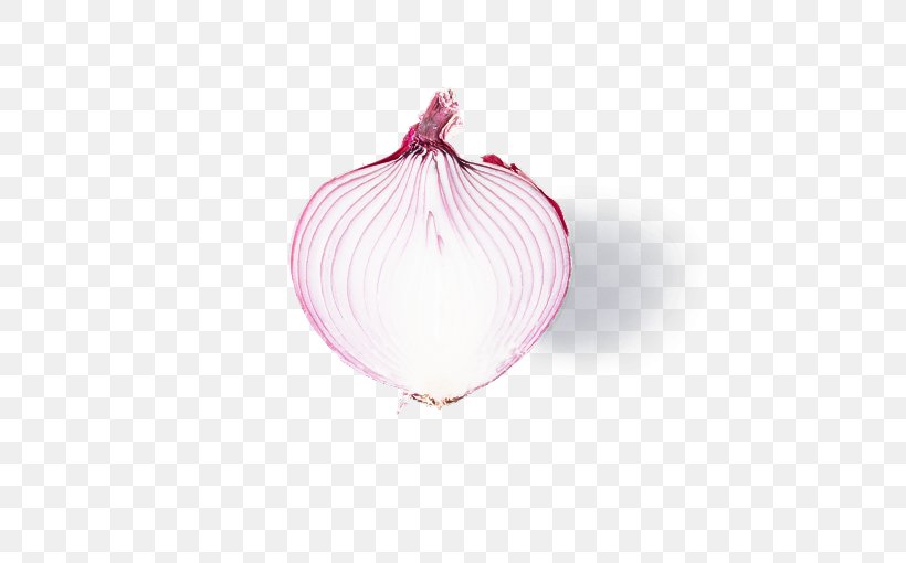 Onion Red Onion Vegetable Pink Shallot, PNG, 510x510px, Onion, Allium, Amaryllis Family, Food, Magenta Download Free