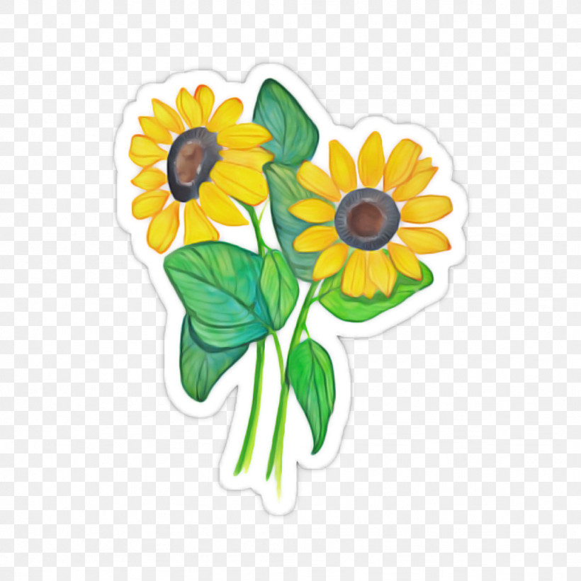 Sunflower, PNG, 1024x1024px, Sunflower, Cut Flowers, Daisy Family, Flower, Petal Download Free
