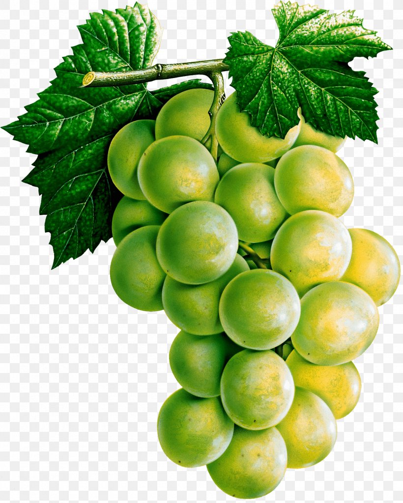 White Wine Common Grape Vine Juice, PNG, 1490x1864px, White Wine, Common Grape Vine, Food, Fruit, Grape Download Free