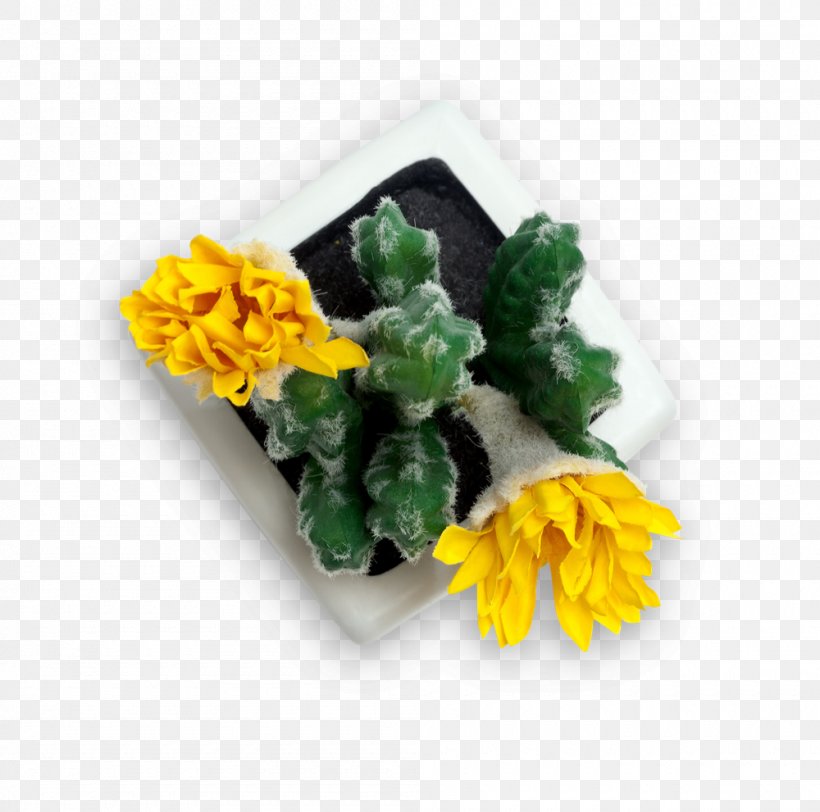 Yellow Book Cut Flowers Instagram Newsletter, PNG, 1000x991px, Yellow, Book, Cut Flowers, Flower, Instagram Download Free