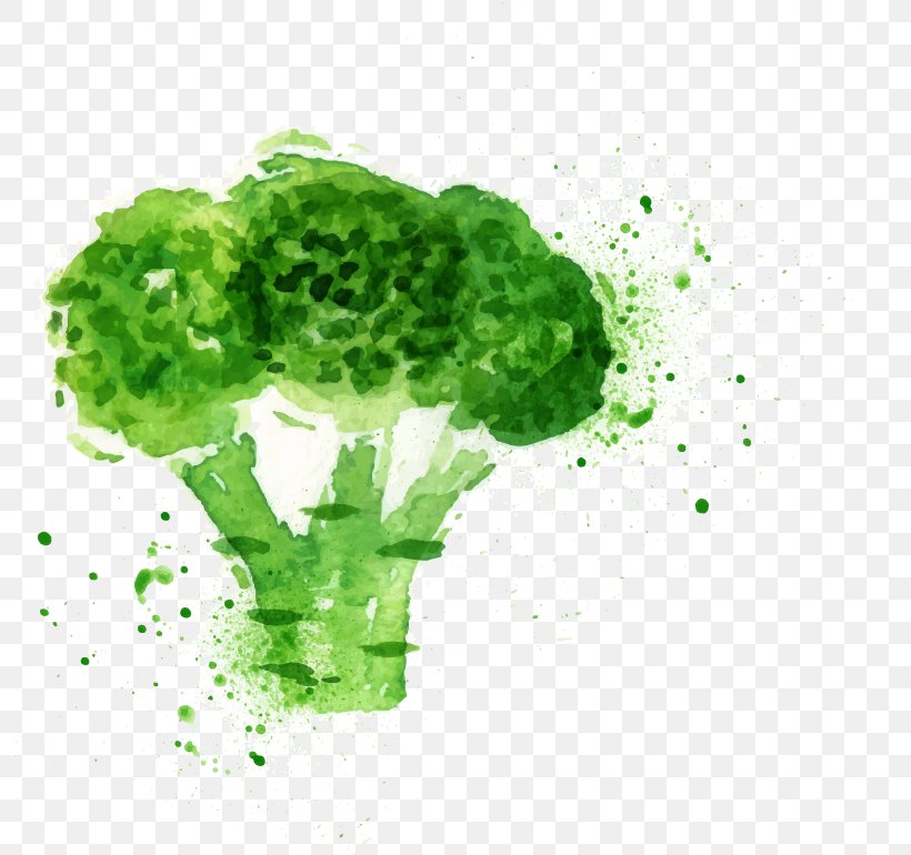 Broccoli Slaw Poster Watercolor Painting, PNG, 794x770px, Broccoli, Brassica Oleracea, Broccoli Slaw, Food, Grass Download Free